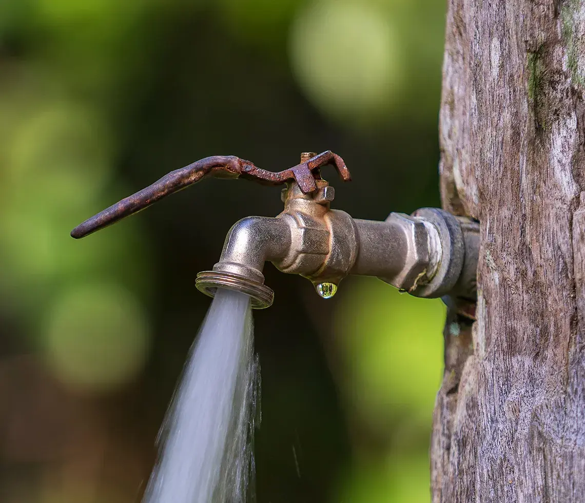 10 of our plants operate with zero wastewater discharge