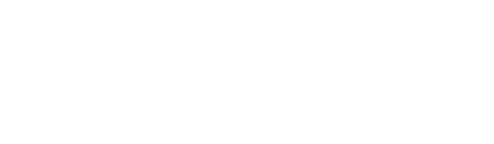 Sustainability to the MAX