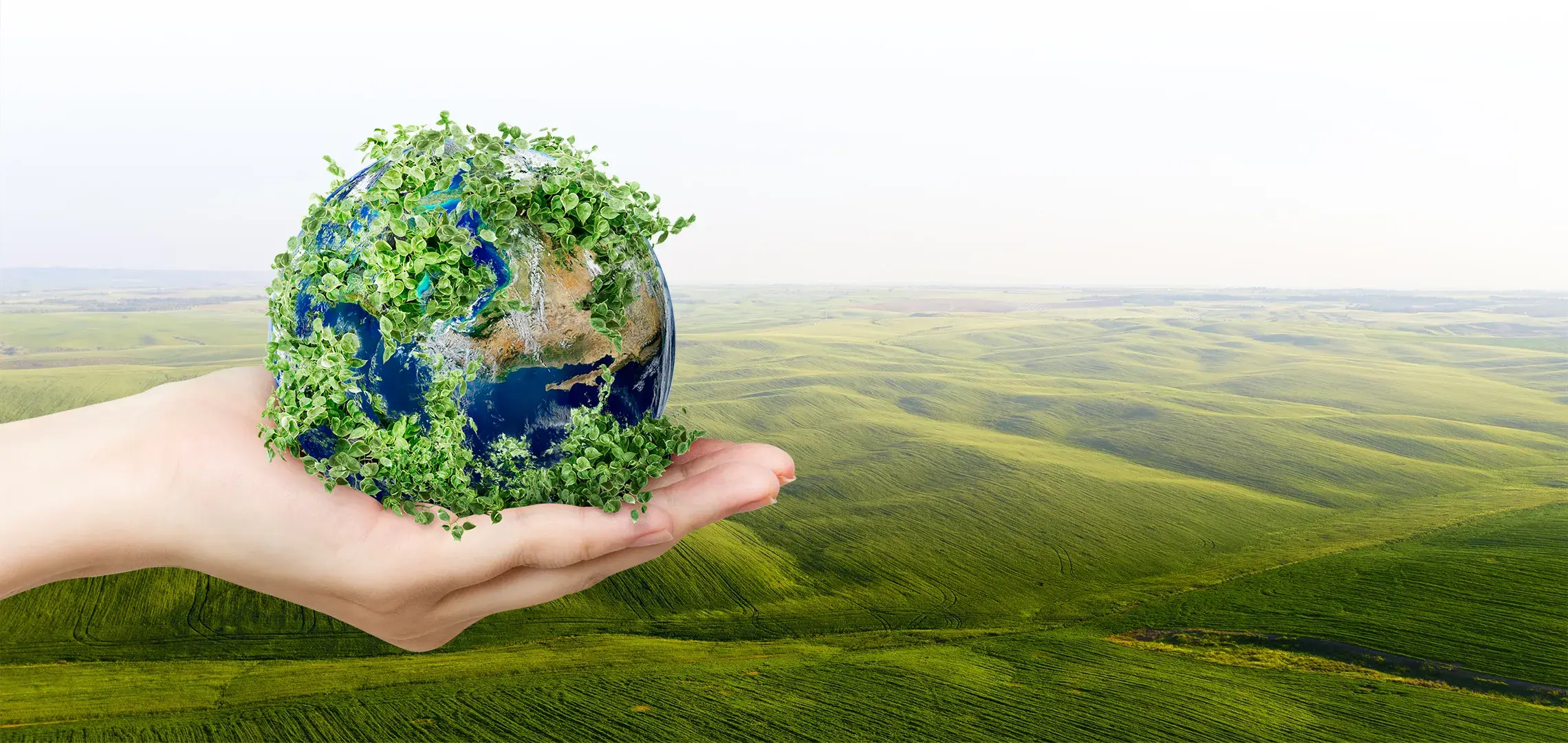 We care for the planet