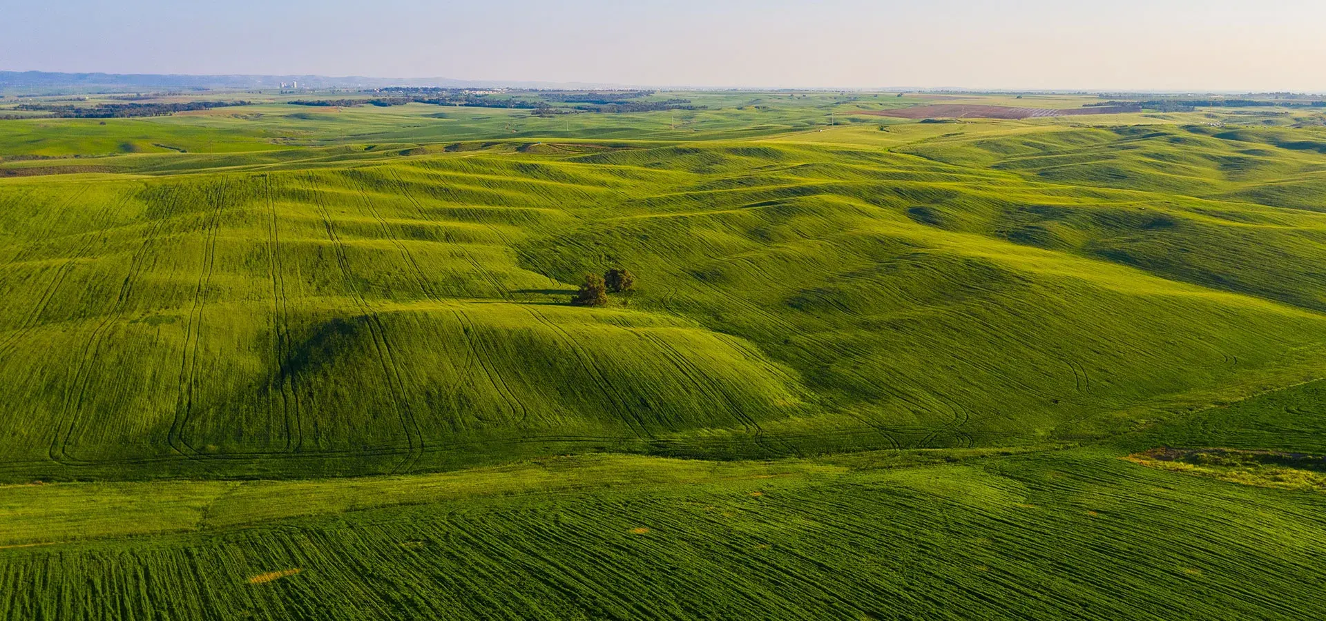 ACCIÓN AMBIENTAL BG